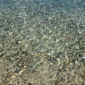 Meet your Posher, Gabby